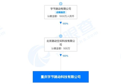 字節(jié)跳動跨界布局 重慶子公司經(jīng)營范圍新增房地產經(jīng)紀與技術咨詢